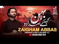 Nohay 2023  behan keh kay sada do  zaigham abbas rizvi  muharram 1445 nohay2023  karbala ali