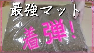 冬眠用に広葉樹の埋め込みマット購入してみた。【ドルクスキング】【森の昆虫社】【埋込マット】【広葉樹】【オオクワ達の冬支度】【冬眠準備】【開封動画】