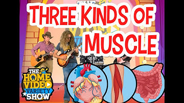 Cycle 3 Week 3 Science: Three Kinds of Muscle