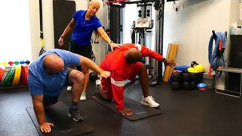 Spiderman Lunge With Thoracic Rotation   HD 720p