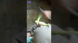 ගක කටයම 02 Kalaava Katayam