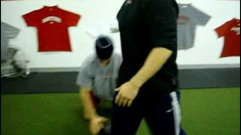 tonygentilcore.com Quadruped Rhythmic Stabilizations