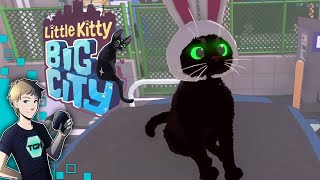 Little Kitty, Big City Gameplay Demo - Move Over, Stray, There&#39;s a New Cat Game In Town!
