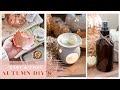 Easy Cosy Autumn DIYs 2020, DIY Pumpkin Spice Wax Melts, Room Spray And More