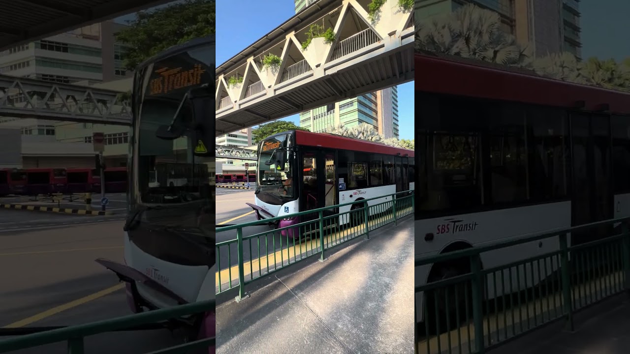 [Breakdown/Tow] SBS8828C on Tow - SBST Scania K230UB Euro V Batch 1