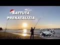 Battuta a Surfcasting prenatalizia🎄🐟