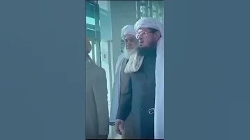 مولانا فضل الرحمن صاحب کی افغانستان امد 