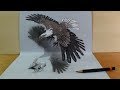 Hunting Eagle - Drawing 3D Eagle Illusion - Vamos