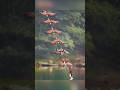SHOCKING Photos That Will Blow Your Mind SHOCKING Photos That Will Blow Your Mind