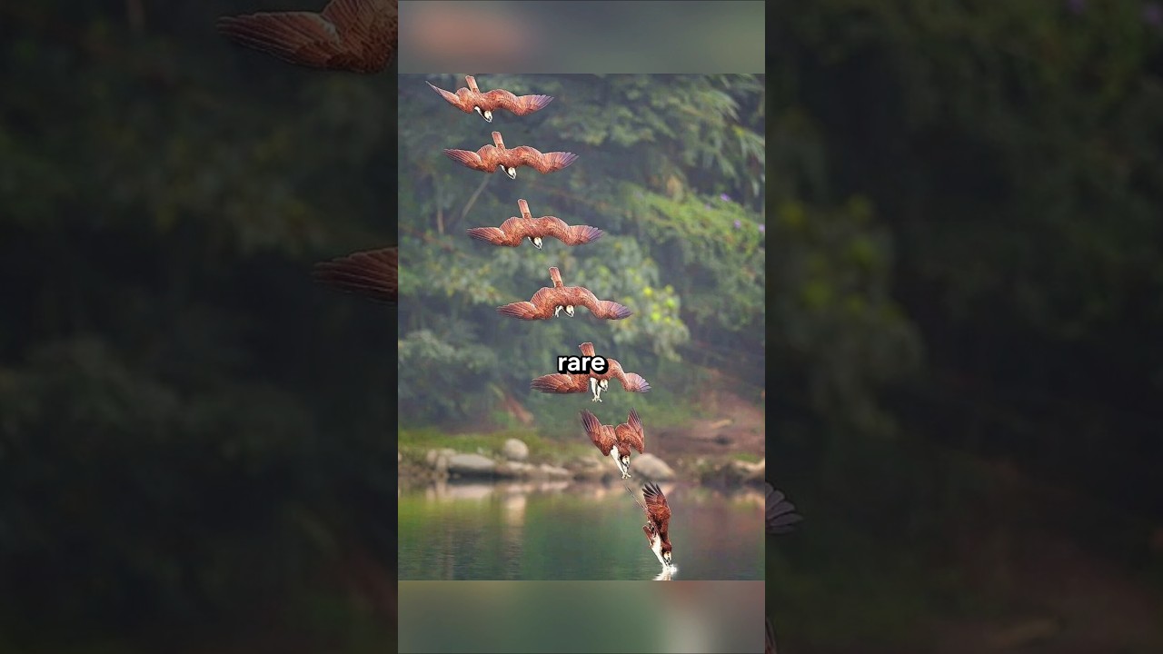 SHOCKING Photos That Will Blow Your Mind!