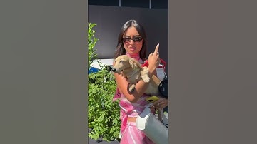 Charles Leclerc arrives with his girlfriend Alexandra & Leo in Hungary #F1