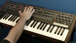 【ぶーさん】Prophet-6 Dave Smith Instruments Sequential Prophet 6