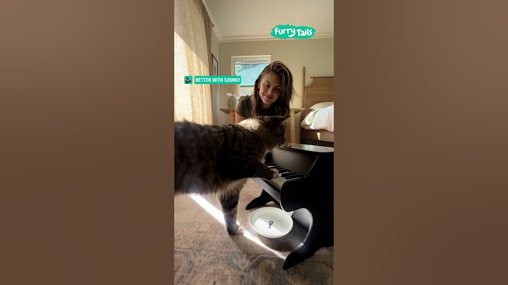 Teaching my cat how to play the piano 🎹 🥹       🎥: Aaron Benitez via Viralhog