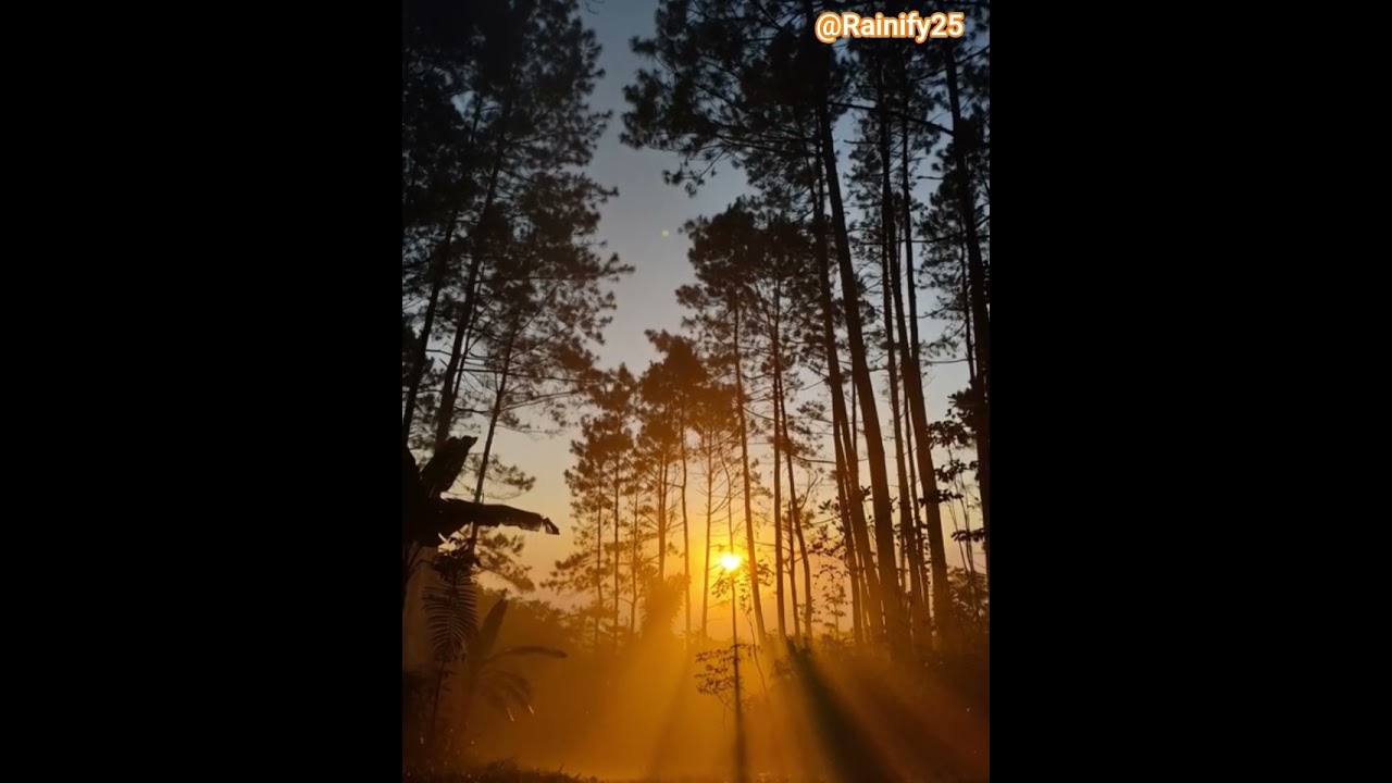 Dark Clouds & Gentle Rain Sounds🌧️⛈️⛅
