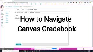 How to Navigate Canvas Gradebook