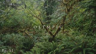 A Day of Photography in a Temperate Rainforest by Brian Lackey 992 views 8 months ago 9 minutes, 35 seconds