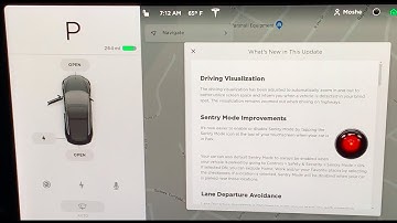 The Best Tesla Software Update, Emergency lane Change, Sentry Mode, V9.2019.16.2