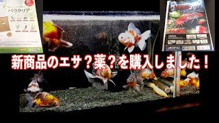 【金魚】パラサイトクリアというエサ？薬？を購入しました。【パラクリア】寄生虫を安全に駆除！？