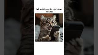 darwaja kaha hai 🤔😁🤣🤣#funny#cats#shorts