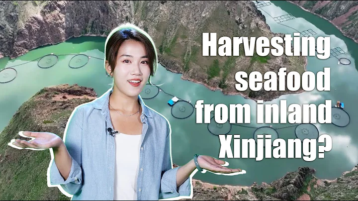 Tech Please: Harvesting seafood from inland Xinjiang? Here's how - DayDayNews