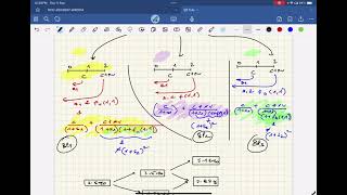 Binomial Interest Rate Tree | CFA Level II