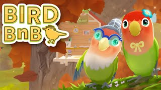 Bird Bed & Breakfast (by Runaway Play) IOS Gameplay Video (HD) screenshot 2