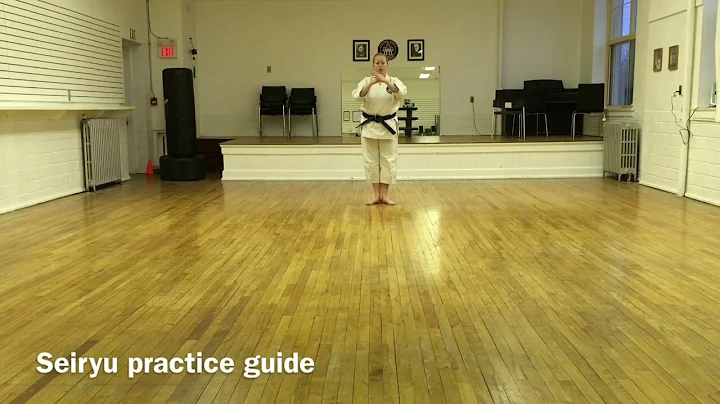 Seiryu - a practice guide for Elora Karate Dojo