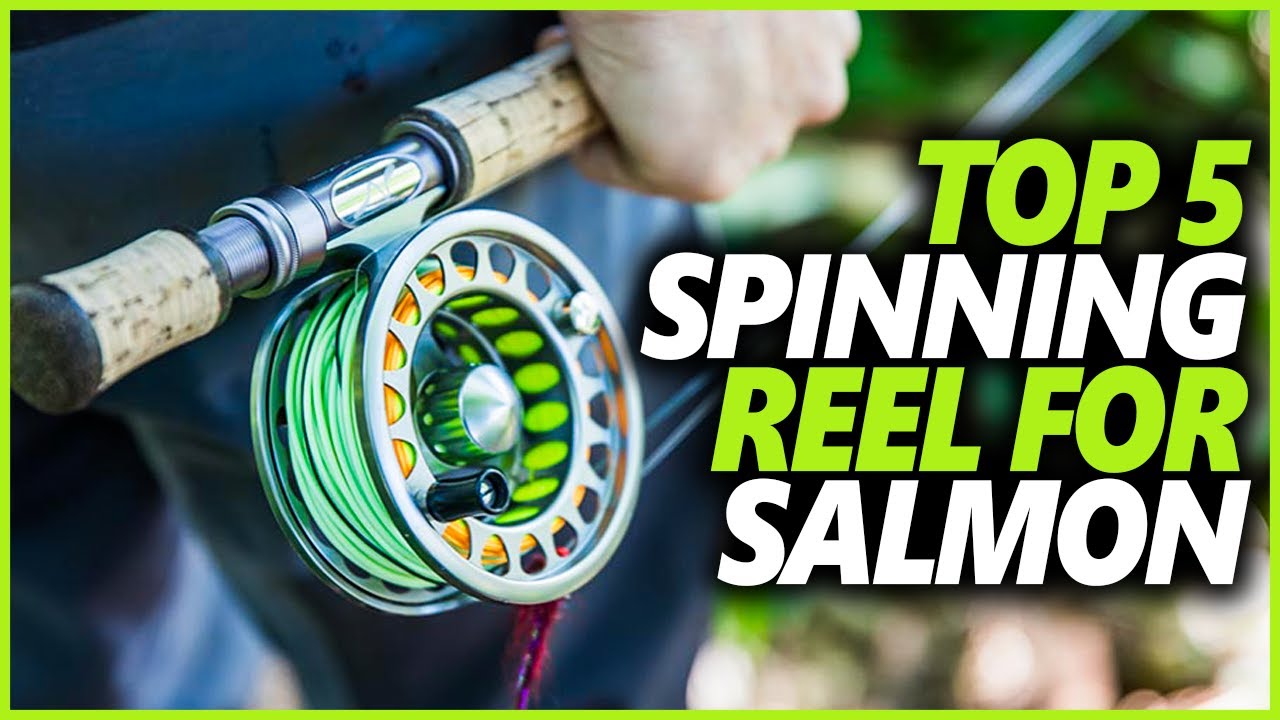 Best Spinning Reel For Salmon 2022  Top 5 Spinning Reel For Salmon Fishing  