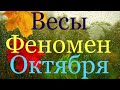 Весы ♎️ Октябрь 2020 г/Самый Подробный Таро-прогноз..