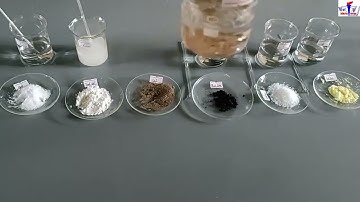 khả năng hòa tan của các chất rắn trong nước. Bài Dung dịch KHTN 6