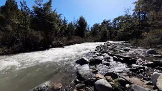 Arroyo Centinela Parque Nacional Los Alerces Chubut Patagonia Argentina Primavera 2022