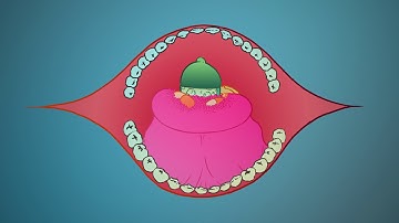 CHIC_ARTISTIC VIDEO!