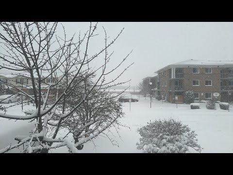 DAILY DRIVE ON SNOW DAY @SagipSquad @JaperSniperOfficial @ms.dhielag @lynofficial2565