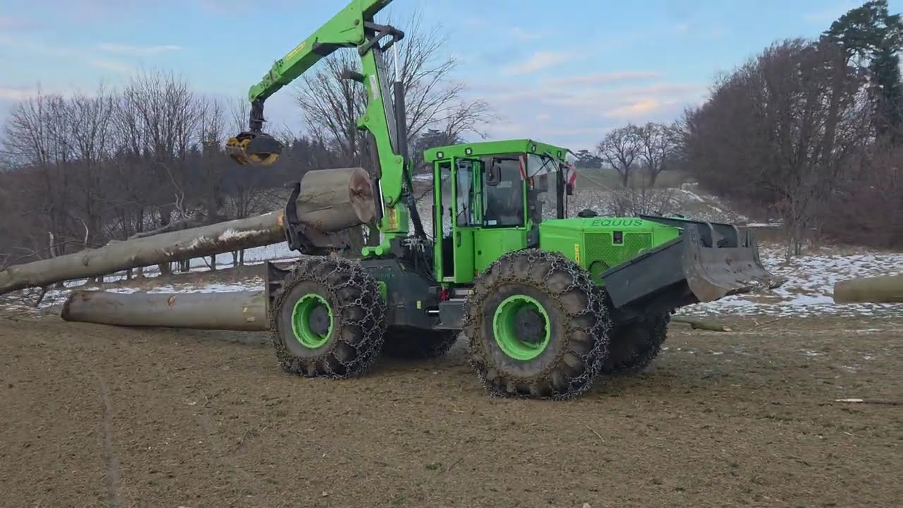 Starkholzschlägerung und Rückung / Winter Logging