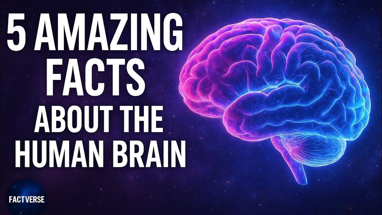 5 Human Brain Facts That Sound Fake (But Aren’t) 🧠 - YouTube