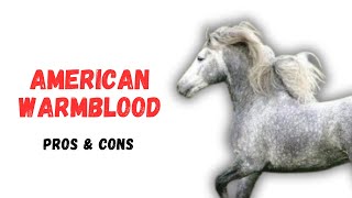 American Warmblood Horse Pros and Cons -American Warmblood Horse Advantages and Disadvantages American Warmblood Horse Pros and Cons -American Warmblood Horse Advantages and Disadvantages