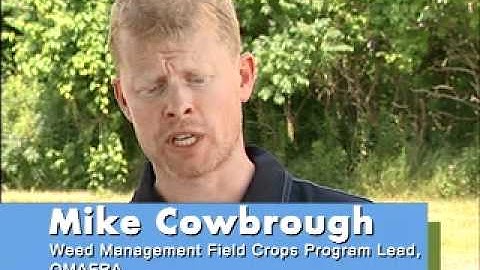 Herbicide Resistant Weeds