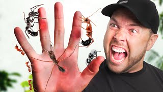 Ranking the WORST Ant Stings!
