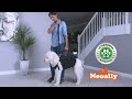 NeoAlly Dog Lift Harness Full Body Support Sling - Endorsed by SHARK TANK