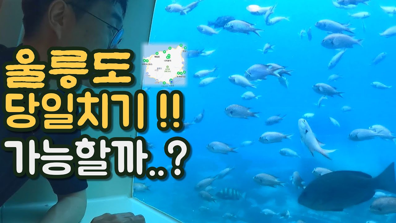 승선 5분 전까지 알차게! 울릉도 