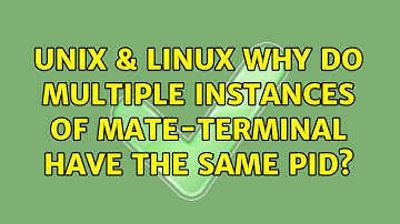Unix & Linux: Why do multiple instances of Mate-terminal have the same PID? (2 Solutions!!)
