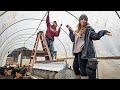 Don't do it like this | Our CRAZY winter Greenhouse build