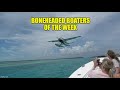 Close Call With a Plane!!! | Boneheaded Boaters of the Week