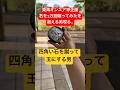 四角い石を蹴って丸くするティックトッカー現る!27日目 #石蹴男 #東海オンエア