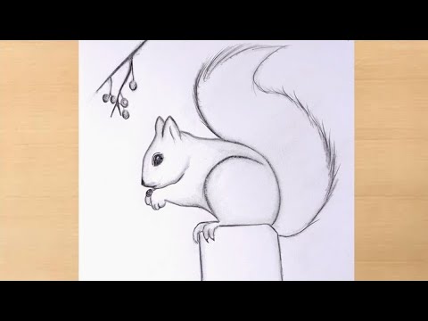 Flying squirrel animal sketch engraving Royalty Free Vector