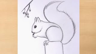 How to draw a squirrel step by step very easy/cute squirrel drawing