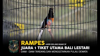 Bali Bird Contest 2: NGAWI RAMAH .❗️ Murai Batu Rampes Pantas dijuluki Burung Nasional & TOp Perform