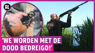 Ganzen afschieten met bedreigde jagers!