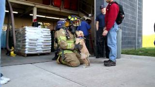 LeaderDogFireStation.mov