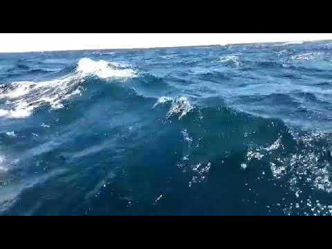 Catamaràn Glup Sail por la costa oeste  de Portugal